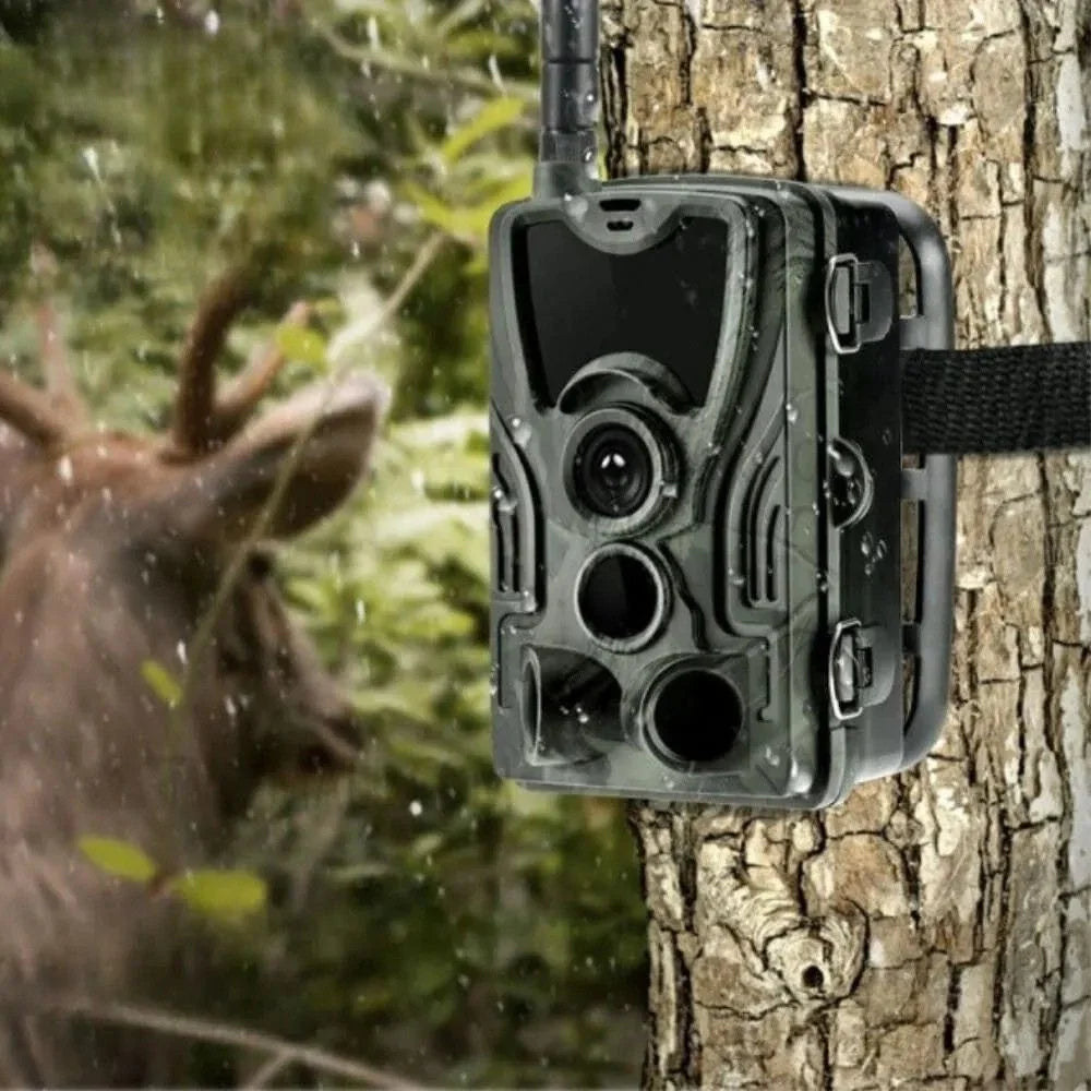 Caméra de chasse 4G+ 4K avec écran