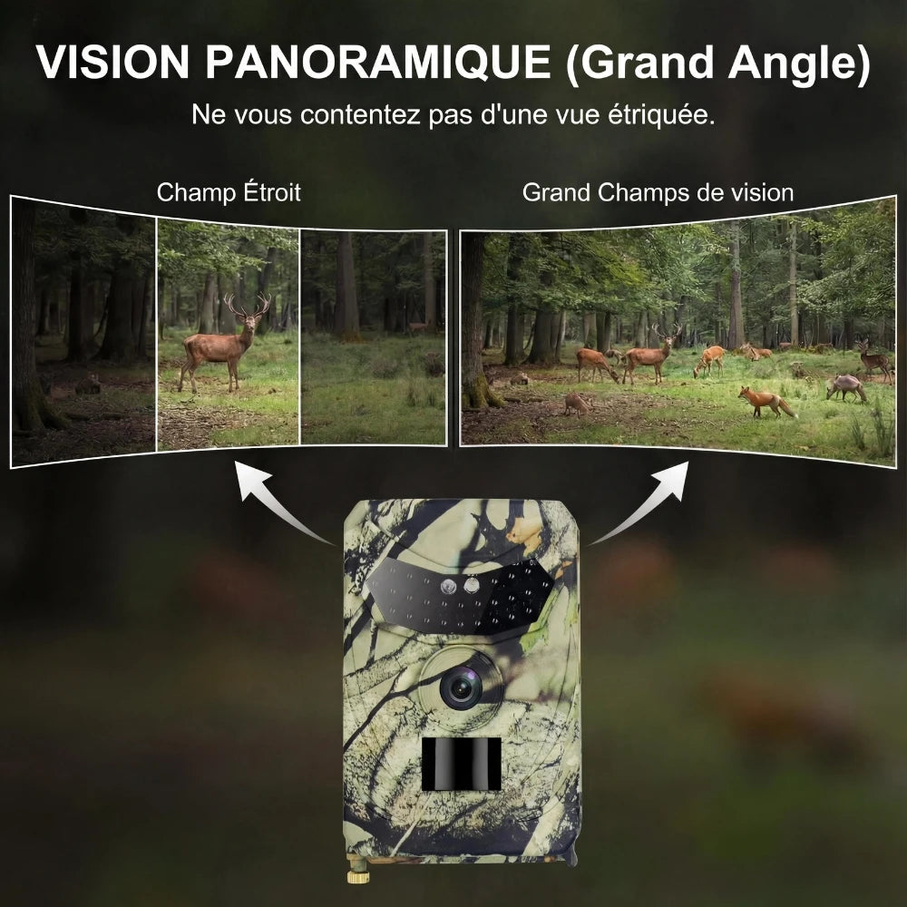 Caméra de chasse Vision Nocturne