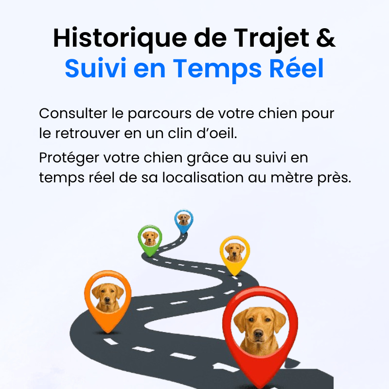 Traceur GPS pour Chien Sans Abonnement