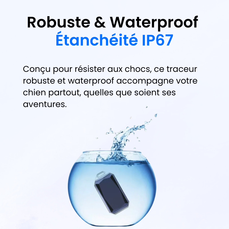 Traceur GPS pour Chien Sans Abonnement