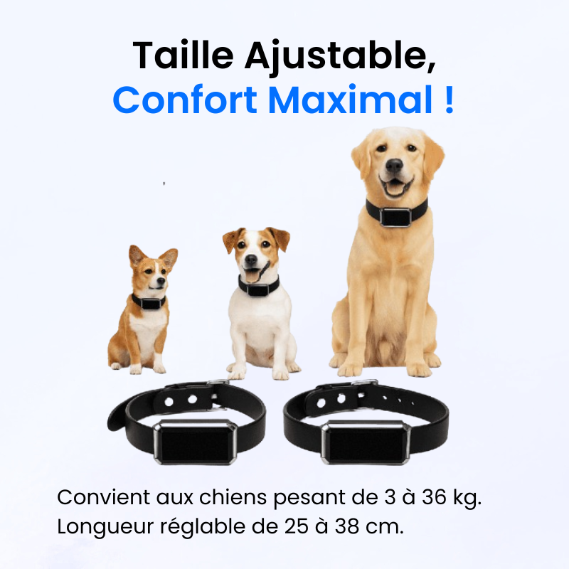Traceur GPS pour Chien Sans Abonnement