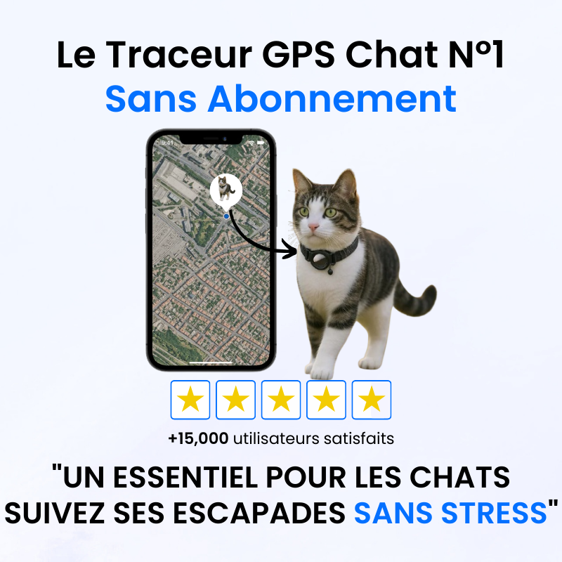 Traceur GPS pour Chat Sans Abonnement