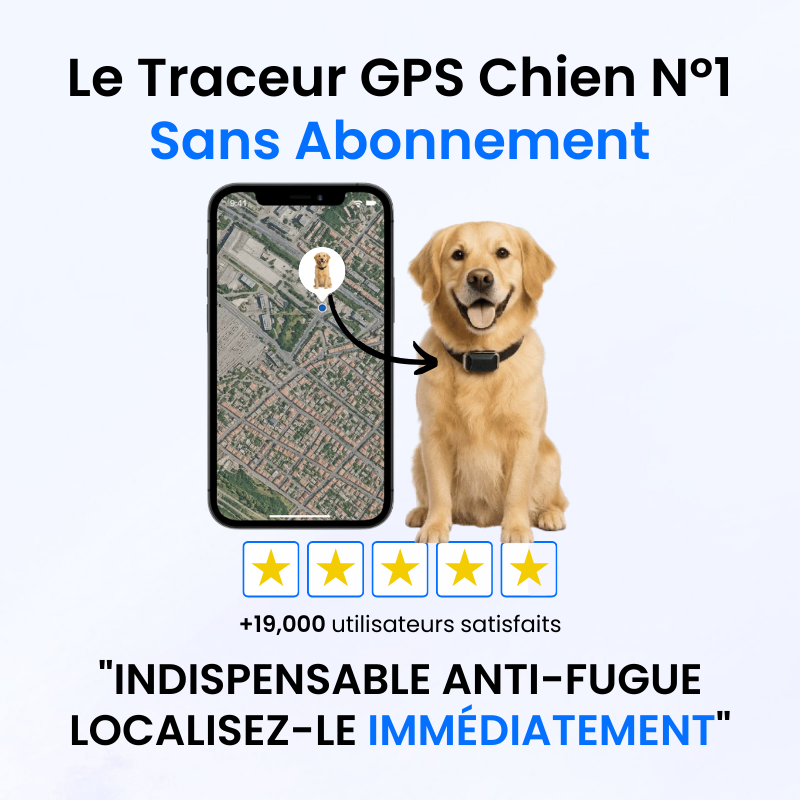Traceur GPS pour Chien Sans Abonnement