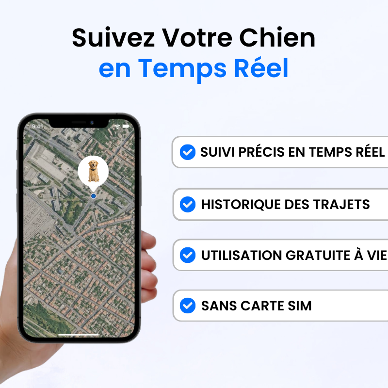 Traceur GPS pour Chien Sans Abonnement