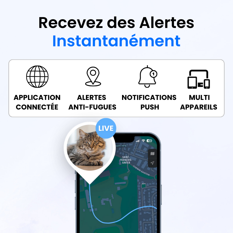 Traceur GPS pour Chat Sans Abonnement