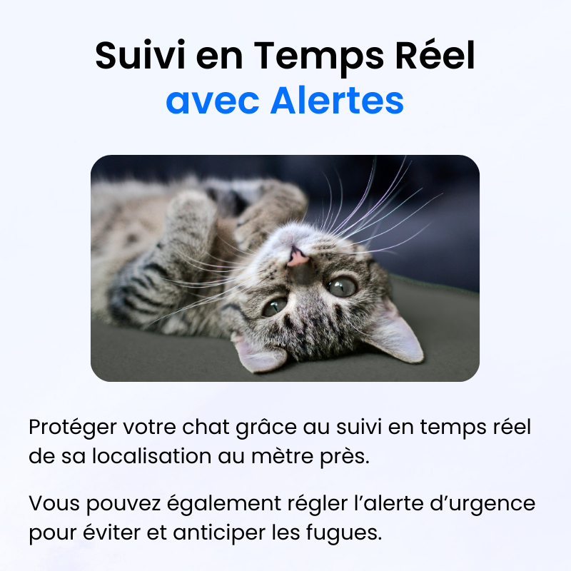 Traceur GPS pour Chat Sans Abonnement