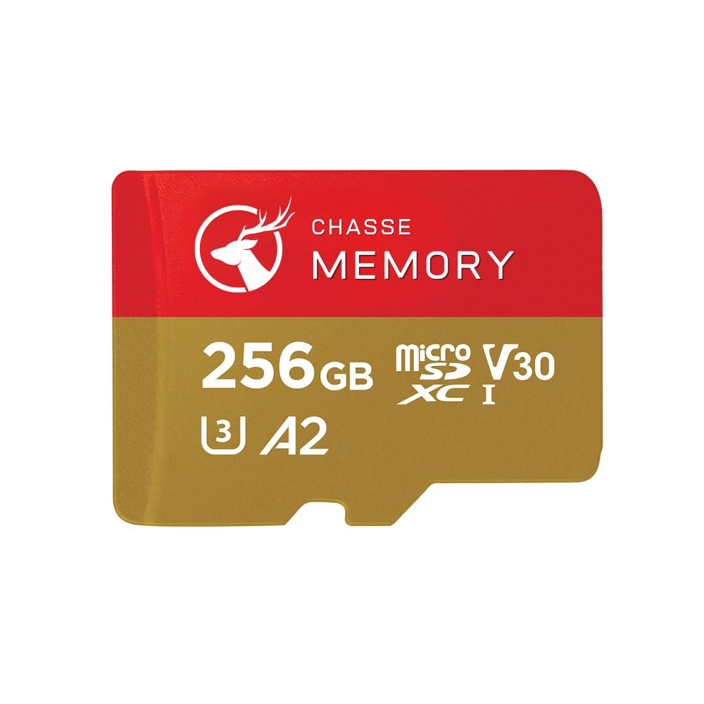 Carte SD 64GB